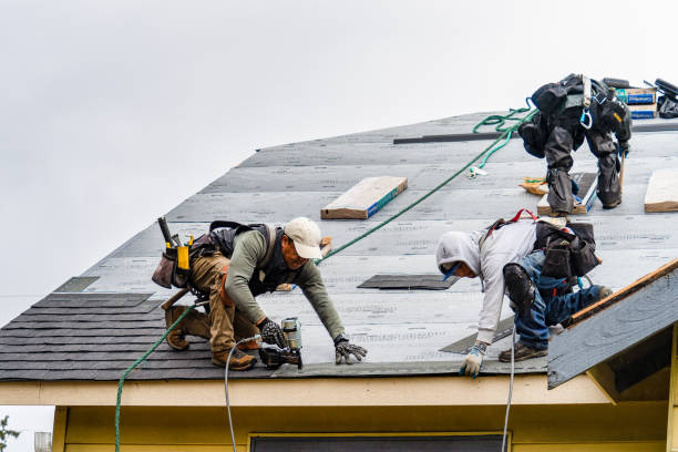 Professional Flat Roof Repair technician working in Pinecliffe, CO